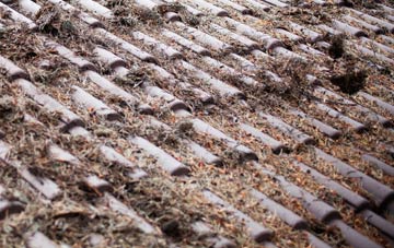 Hemley roof cleaning companies