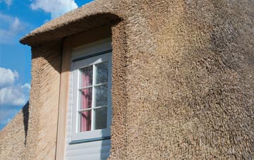 Hemley thatch roof disadvantages
